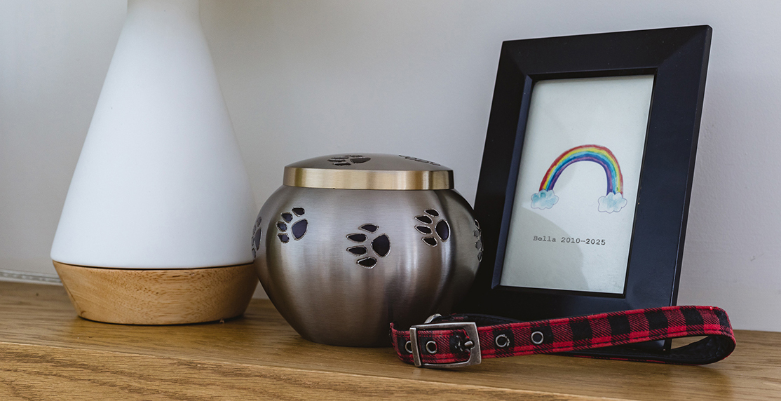 Pet urn with collar and framed rainbow